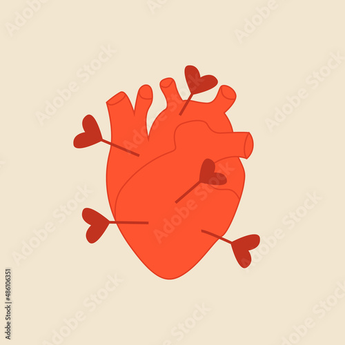 Red anatomical heart pierced by arrows. Vector flat illustration on isolated background.