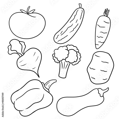 Fresh vegetables. Monochrome image of vegetables for coloring books and postcards, illustration