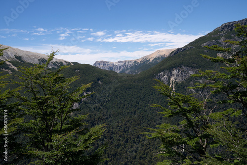 View of the green forest, valley and Andes cordillera.