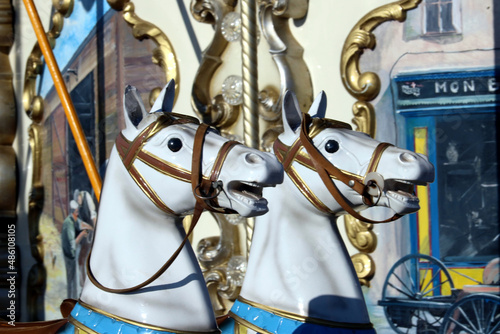 carousel horses in the park