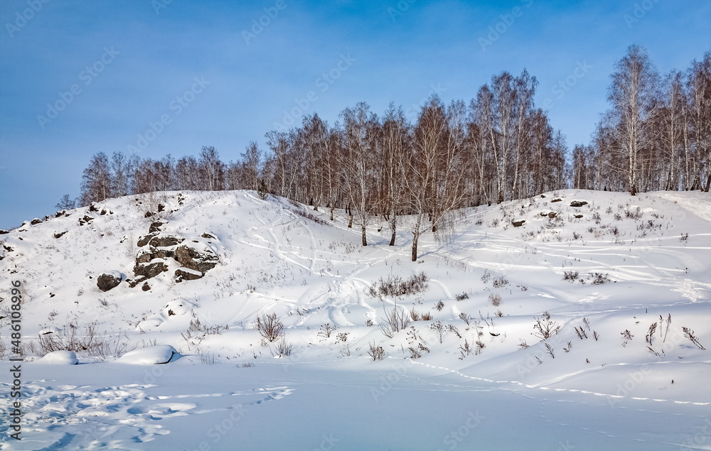 Winter landscape with birch trees on the mountain bank of the river, snow and blue sky with clouds