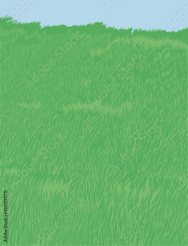 Green grass meadow for background