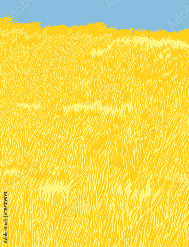 Yellow grass meadow for background