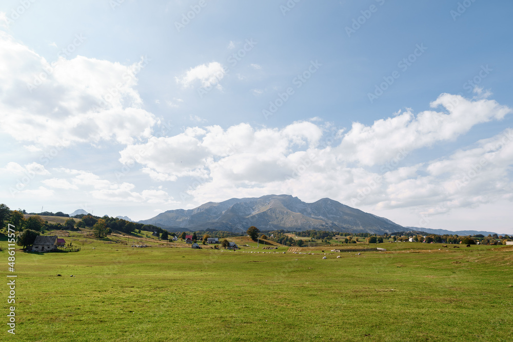 Green meadow with rural houses in the background of mountains in Durmitor National Park