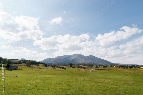 Green meadow with rural houses in the background of mountains in Durmitor National Park