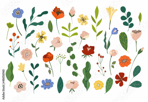 Set of beautiful bright spring and summer floral elements: colorful flowers, green leaves, berries. For wedding poster, Womens Day 8 of March and Valentines day, kids holiday. Vector illustration