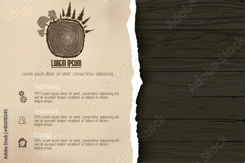 Torn paper on wooden texture. Ripped banner over wood background. Vector