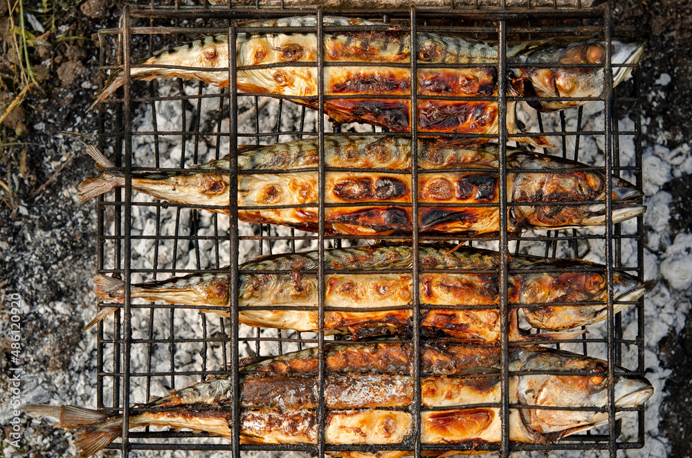 Delicious grilled mackerel fish inside grill grid on charcoal grill brazier