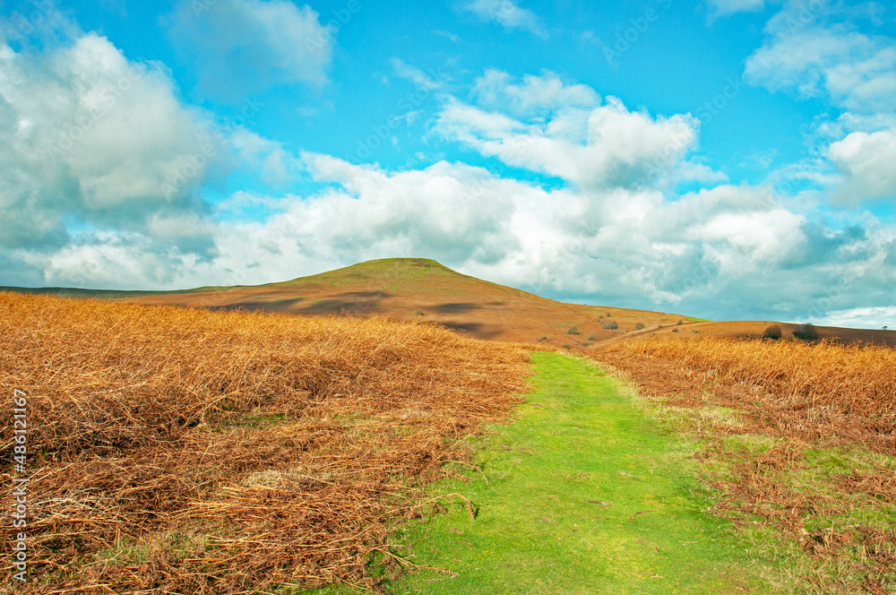 Obraz premium Hergest ridge of England and Wales in the summertime.