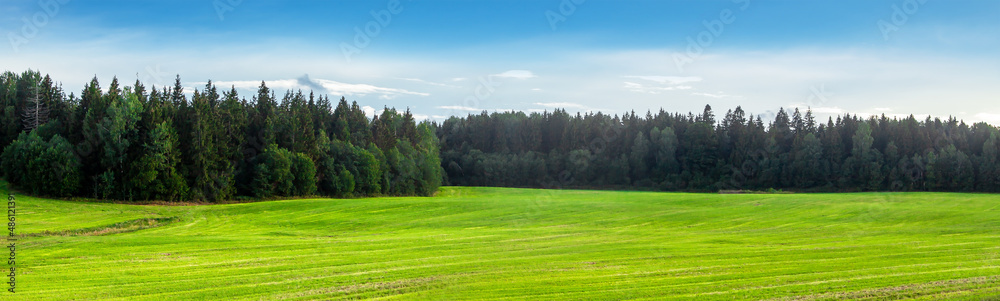 A bright green field, in the distance a forest and a clear blue sky.