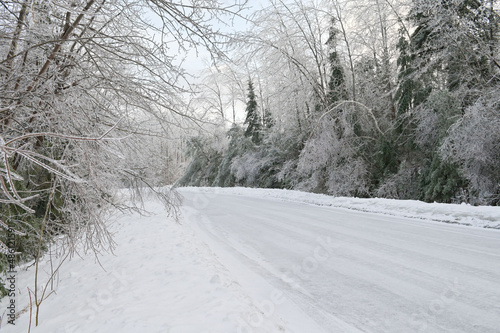 Forest road covered with snow close-up. The road is cleared of heavy snow cover after heavy precipitation. Weather forecast for a snowy winter with heavy precipitation.