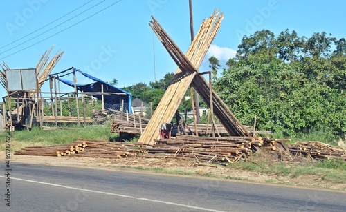 Lumber Roadside Sale photo