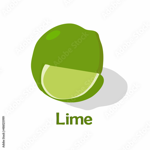 Food, vegetables and fruits. Vector illustration.drawings for a poster, postcard or background.