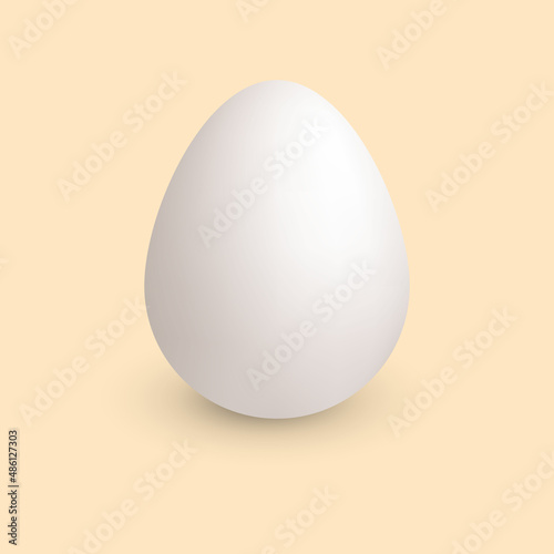 White egg.Egg background.Vector Illustration