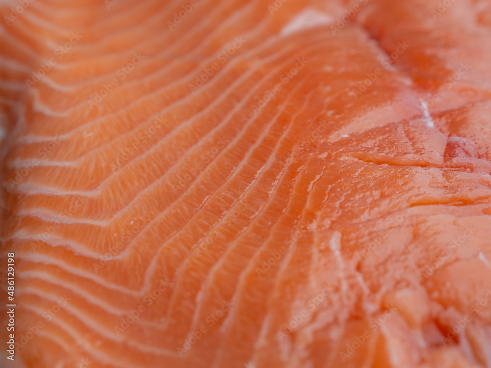 fillet of fresh salmon. fillet of red fish.