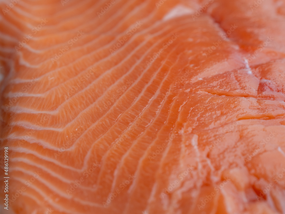 fillet of fresh salmon. fillet of red fish. fillet of fresh salmon. fillet of red fish.