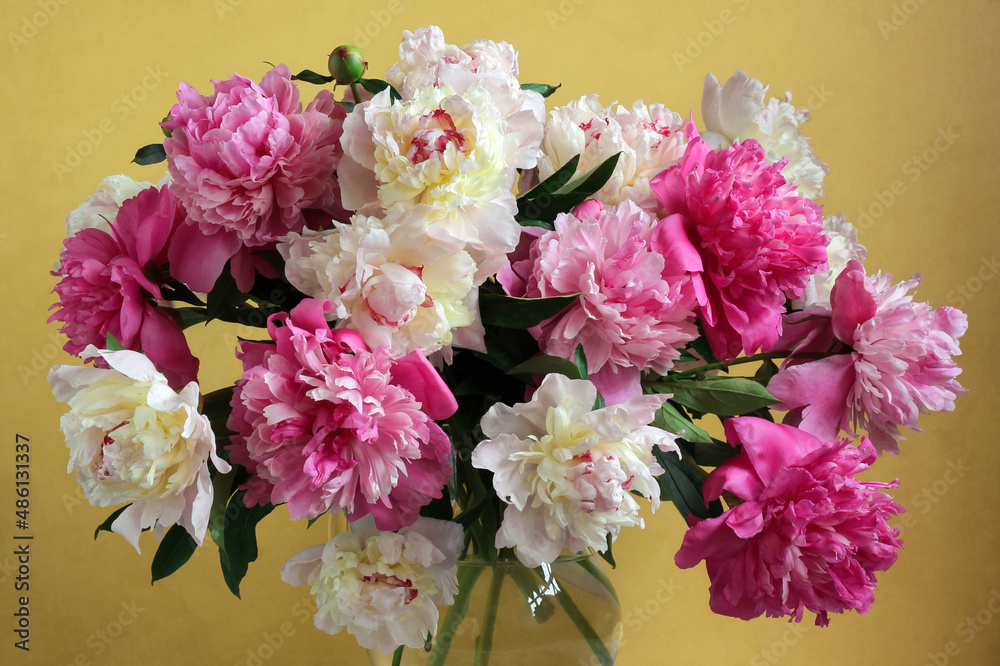 floral background of white and pink peonies.