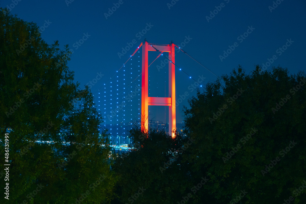 Bosphorus Bridge at night from Nakkastepe