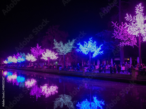 Trees illuminated for Christmas by Retiro Park lake, Madrid
