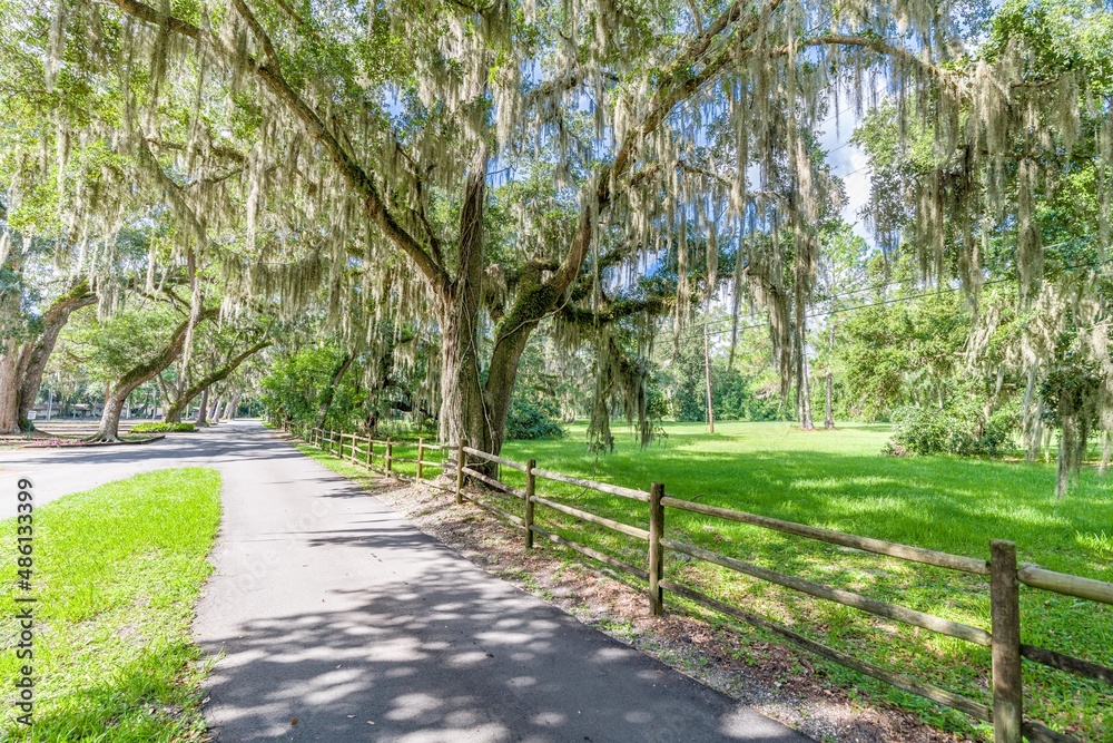 Obraz premium creative