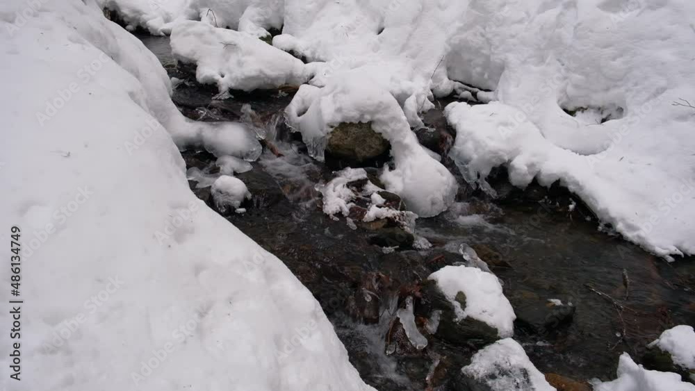 Stream in the forest in winter. Stream in the forest in winter.