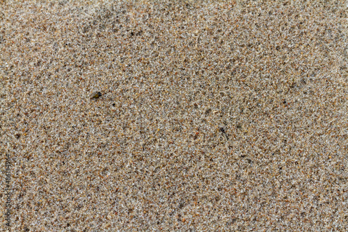 Grainy sand beach