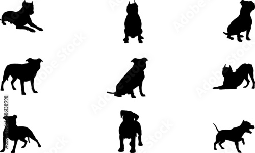 Print op canvas American Pit Bull Terrier Silhouettes PNG SVG EPS American Pit Bull Terrier Vect
