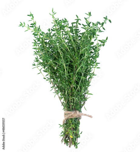 Bunch of thyme