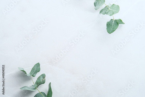 Eucalyptus leaves on stone table. Frame made of eucalyptus plant branches. Flat lay, top view, vertical.