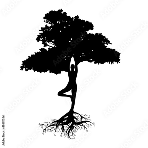 meditating person become tree, personal grow,  healing, connection with earth
