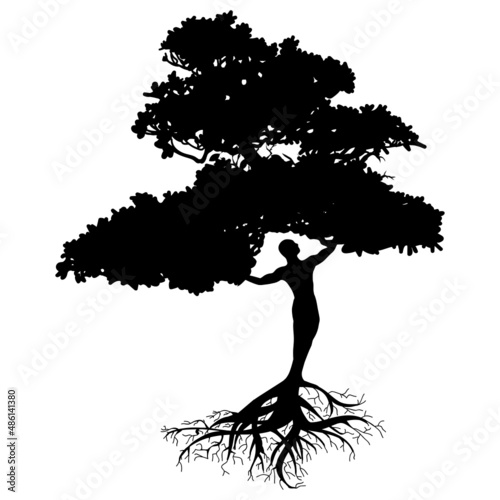 meditating person become tree, personal grow,  healing, connection with earth