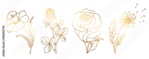 Set, golden rose flowers isolated on white background. Hand drawn golden flower. Vector illustration. For greeting cards and wedding invitations, birthday, Valentine s Day, Mother s Day and others.