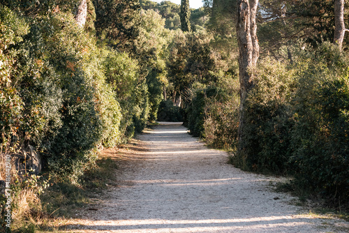 Gravel path leading through the dense park forest of Rovinj peninsula  following the coast