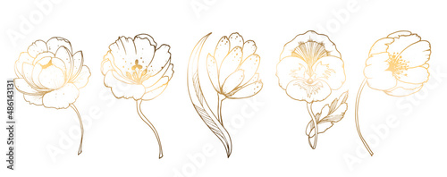 Set, golden flowers isolated on white background. Hand drawn golden flower. Vector illustration. For greeting cards and wedding invitations, birthday, Valentine s Day, Mother s Day and others. photo