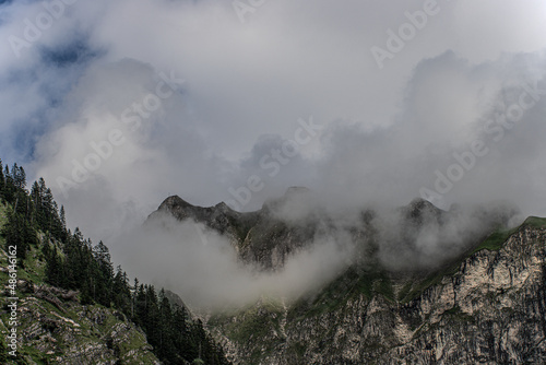 Nebel um den Schneck