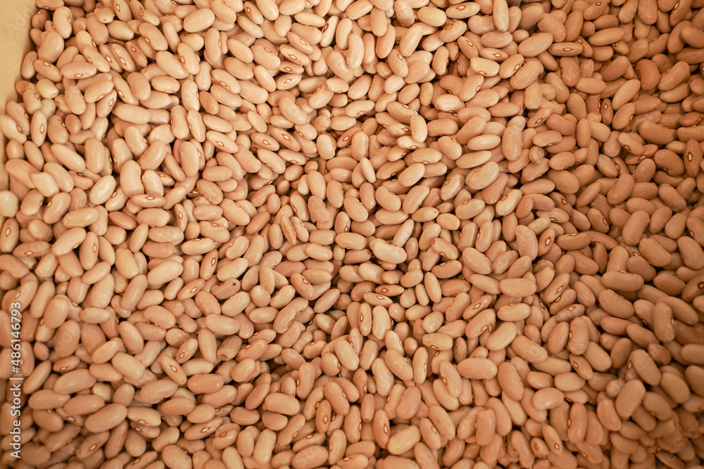 The background of white raw beans. Natural legume protein The background of white raw beans. Natural legume protein