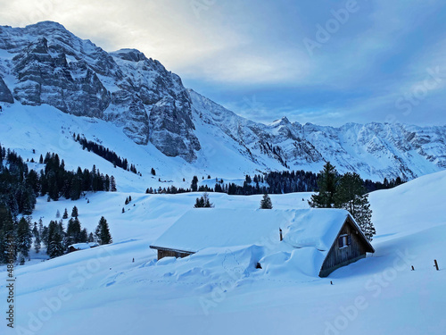Fototapeta Naklejka Na Ścianę i Meble -  Idyllic Swiss alpine mountain huts dressed in winter clothes and in a fresh snow cover on slopes on the Alpstein mountain range - Mountain pass Schwägalp, Switzerland (Schweiz)