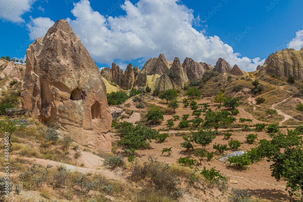 Fototapeta premium Rock formations and vineyards in Cappadocia, Turkey