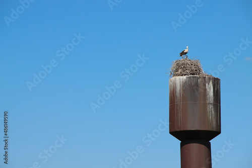 Stork's nest on the old water tower.