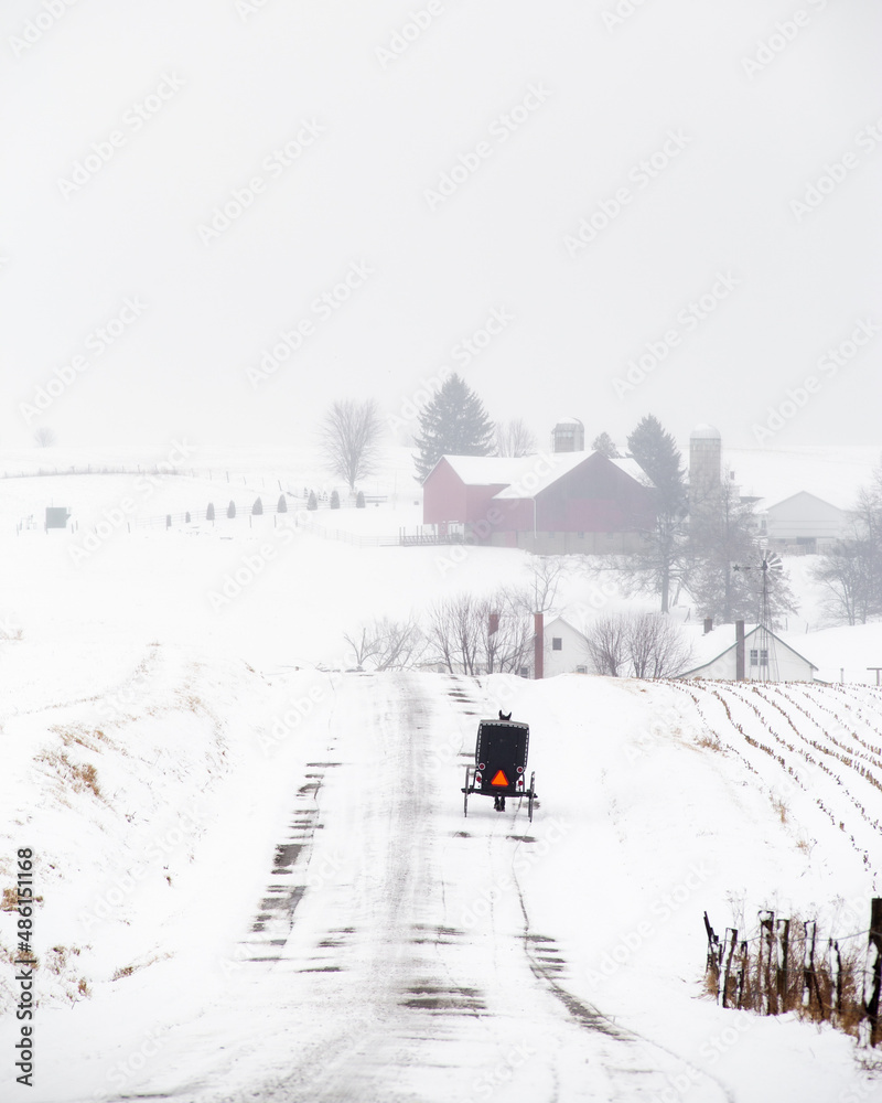 Amish Buggy from Behind Traveling on a Snowy Back Country Road in Holmes County, Ohio Amish Buggy from Behind Traveling on a Snowy Back Country Road in Holmes County, Ohio