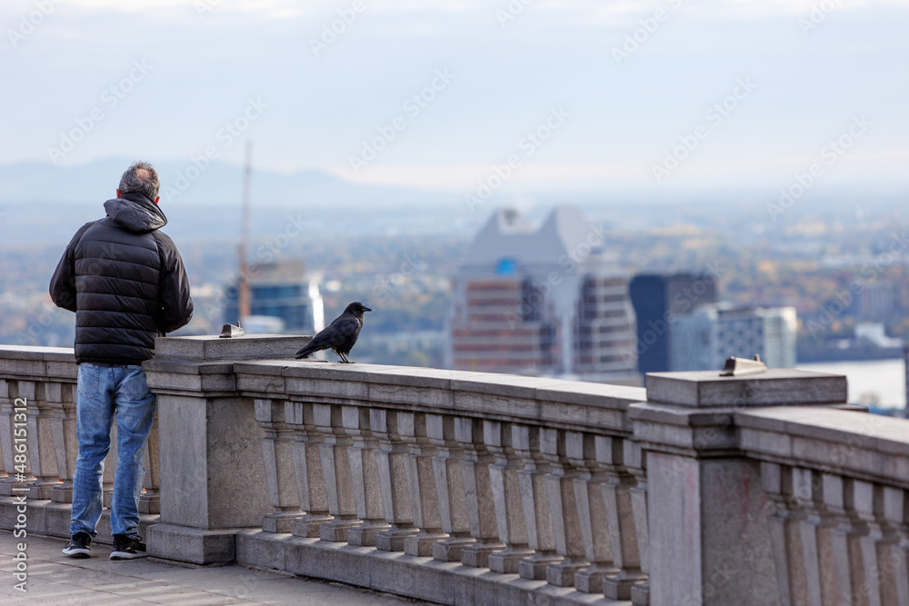 A man and a crow pensively look out over the city skyline together
