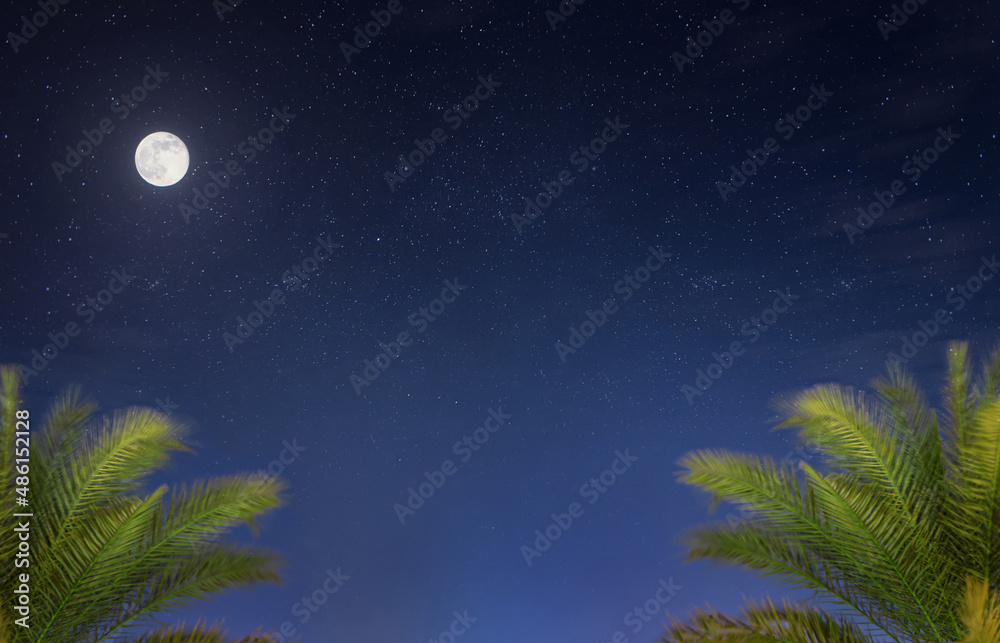 Beautiful night landscape with tropical palms in night starry sky with full moon. Beautiful night landscape with tropical palms in night starry sky with full moon.