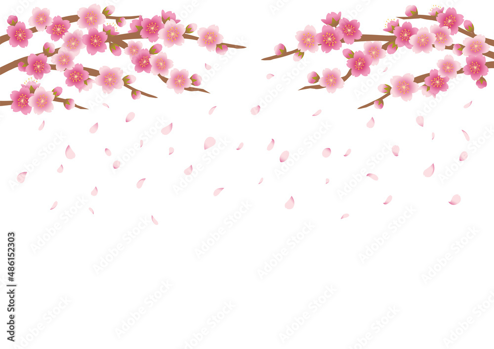 桜_花吹雪_2 桜_花吹雪_2