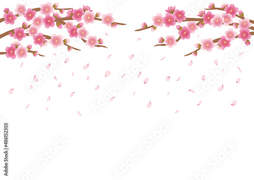 桜_花吹雪_2