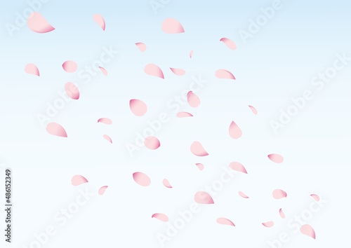 桜_花吹雪_3_背景有り