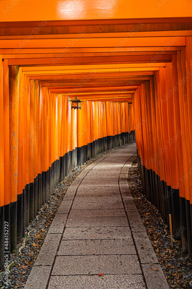 Fototapeta premium The Senbon Torii, Thousands Torii Gate, at Fushimi Inari Taisha Shinto shrine in daylight.
