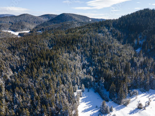 Aerial winter view of Beglika Reservoir covered with ice, Bulgaria photo