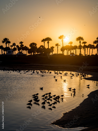 Florida sunset at the beach USA