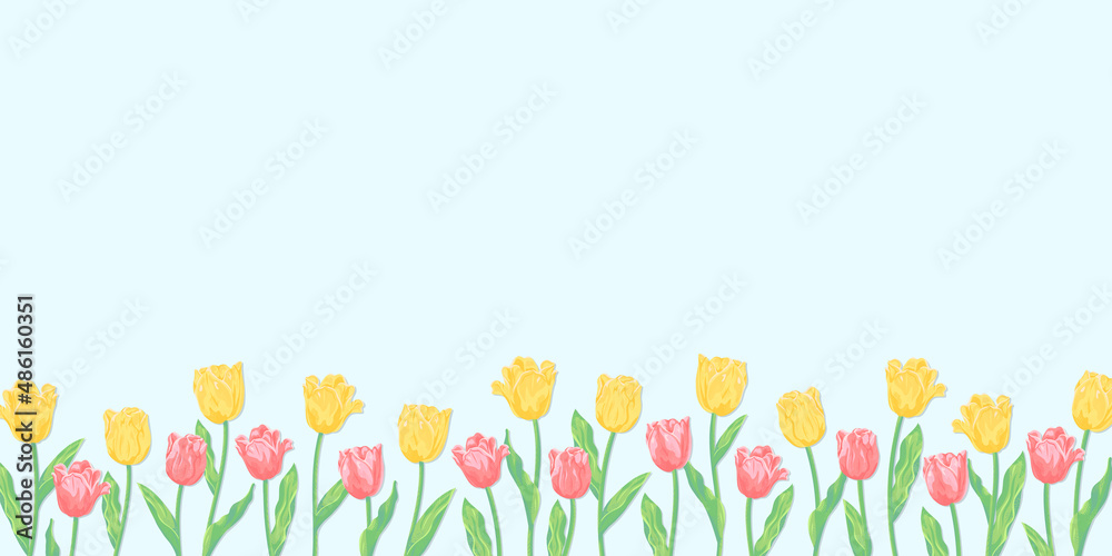 チューリップイラスト　春の背景　黄色とコーラルピンクの花