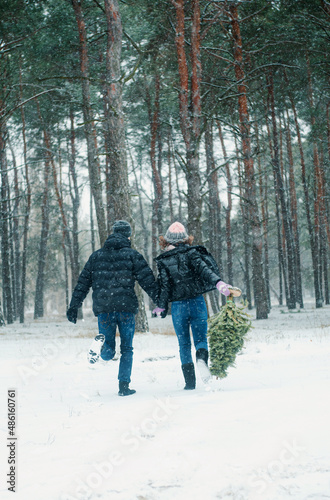 Woman and man walking in winter forest. Happy couple holding pine tree has fun with snow.